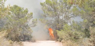 Estabilitzat l’incendi de Cala Saona