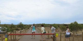 Primer día sin vehículos en el camino al faro des Cap