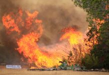 El Govern anuncia el comienzo de la época de alto peligro de incendio forestal en las Islas Baleares, con el objetivo de garantizar la seguridad de la población y proteger el patrimonio natural
