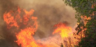 El Govern anuncia el comienzo de la época de alto peligro de incendio forestal en las Islas Baleares, con el objetivo de garantizar la seguridad de la población y proteger el patrimonio natural