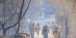 Fotografies tercer incendi a Cala Saona