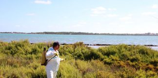 S’intensifica la lluita contra els mosquits
