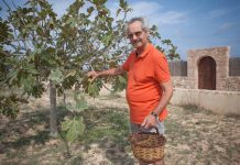 Entrevista a Pep Mayans Ribas, col·leccionista de figues