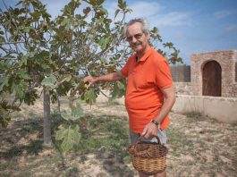 Entrevista a Pep Mayans Ribas, col·leccionista de figues