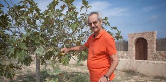 Entrevista a Pep Mayans Ribas, col·leccionista de figues