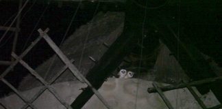La reina de la nit habita el molí vell de la Mola