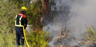 Formentera acogerá una jornada sobre prevención de incendios forestales