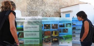 Comença el Festival Save Posidonia Project