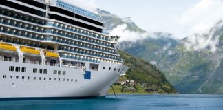 El año del crucero