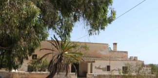 El Consell cierra la compra de la finca de Sa Senieta
