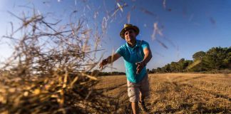 Un proyecto sobre actividades del campesinado obtiene la Beca de Investigación 2019 del Consell de Formentera