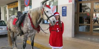 Marisco y pescado para festejar la Nochebuena