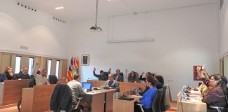 El ple del Consell demana la modificació de la Constitució perquè Formentera tengui un senador propi