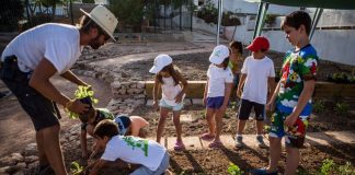 Aprender y divertirse cultivando alimentos sanos