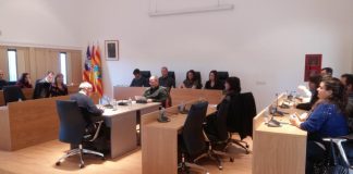 El pleno rechaza el plus de insularidad de los trabajadores del Consell