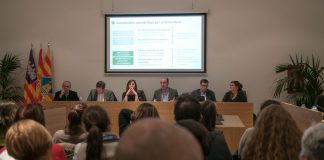La regulación de la entrada de vehículos en Formentera podrá ser aplicada a partir de 2019