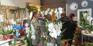 Rosas rojas y detalles románticos para festejar San Valentín