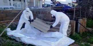 El Consell inicia la campaña de retirada de fibrocemento dirigida a particulares