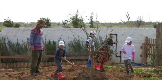 Vuelve el taller de huerto infantil para promover el cultivo de la tierra entre los más pequeños