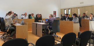 El pleno del Consell aprueba la propuesta de paralización del proyecto MEDSALT-2 de sondeos acústicos en el Mediterráneo