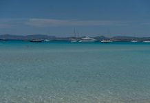 La nueva temporada de vigilancia de la posidonia contará con un teléfono de atención directa a la ciudadanía y una cartografía completa de las praderas fondeos
