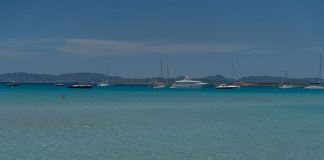 La nueva temporada de vigilancia de la posidonia contará con un teléfono de atención directa a la ciudadanía y una cartografía completa de las praderas fondeos