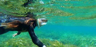 Formentera acoge el Posidonia Fórum