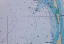 Formentera pionera en recollir la posidònia a les seves cartes nàutiques
