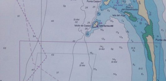 Formentera pionera en recollir la posidònia a les seves cartes nàutiques