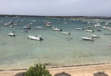 Sale a exposición pública el proyecto ejecutivo para la instalación de pantalanes flotantes y fondeos de bajo impacto en el Estany des Peix