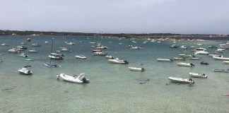 Sa Unió de Formentera presenta al·legacions al projecte de regulació de s’Estany des Peix