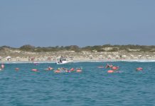 La XIX Vuelta a Formentera nadando contra la Fibrosis Quística termina con éxito