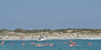La XIX Vuelta a Formentera nadando contra la Fibrosis Quística termina con éxito
