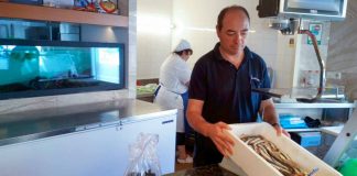 Producto de calidad en Formentera
