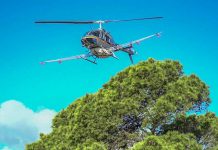 El tratamiento aéreo contra la procesionaria del pino en Formentera empieza a aplicarse mañana