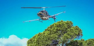 La Conselleria balear de Agricultura, Pesca y Medio Natural inicia hoy el tratamiento aéreo contra la procesionaria del pino en Formentera