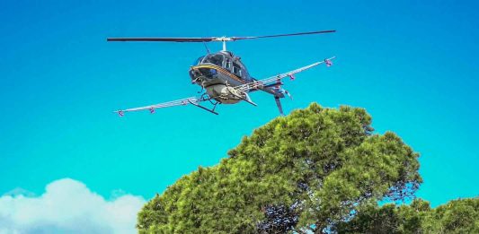 Tercer año consecutivo de la campaña de tratamientos aéreos contra la procesionaria del pino en Ibiza y Formentera