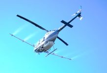 Formentera volverá a combatir a la procesionaria mediante fumigación aérea