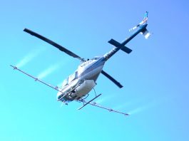 Formentera volverá a combatir a la procesionaria mediante fumigación aérea
