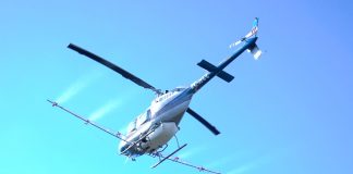 Formentera volverá a combatir a la procesionaria mediante fumigación aérea