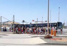 Formentera pondrá en marcha la línea de bus L3 entre la Savina, ses Illetes y es Pujols a partir del 1 de abril