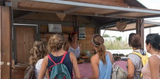 Propuestas saludables en el mercadillo del ciclo Formentera Zen