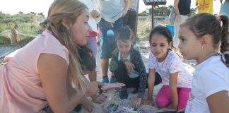 Escolares de Formentera participan en una campaña de retirada de plásticos de las playas