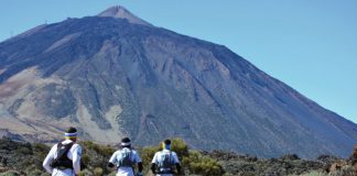Canarias, Caribe y Centroeuropa entre los destinos más solicitados