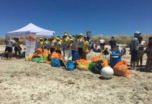 Jornada de limpieza del fondo marino y de la playa en Illetes