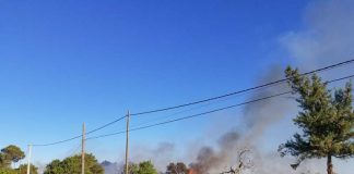 Se queman dos hectáreas agrícolas en Sant Ferran