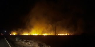 Controlat l’incendi declarat a la Mola