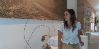 L’art en moviment de Laura Maresc