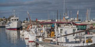 La Cofradía de Pescadores de Formentera galardonada con el premio Ramón Llull 2025