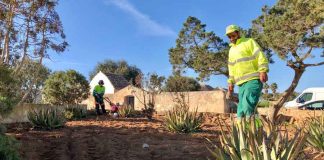 Trabajos de mantenimiento en el Jardí de ses Eres